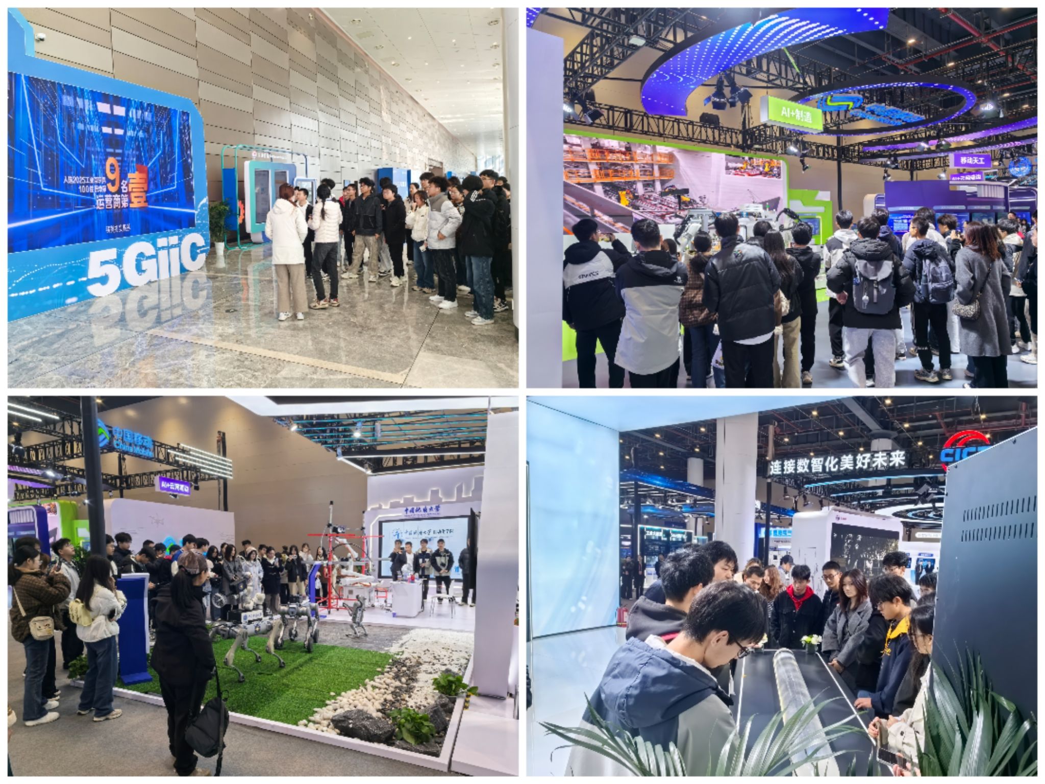 威廉希尔williamhill官网