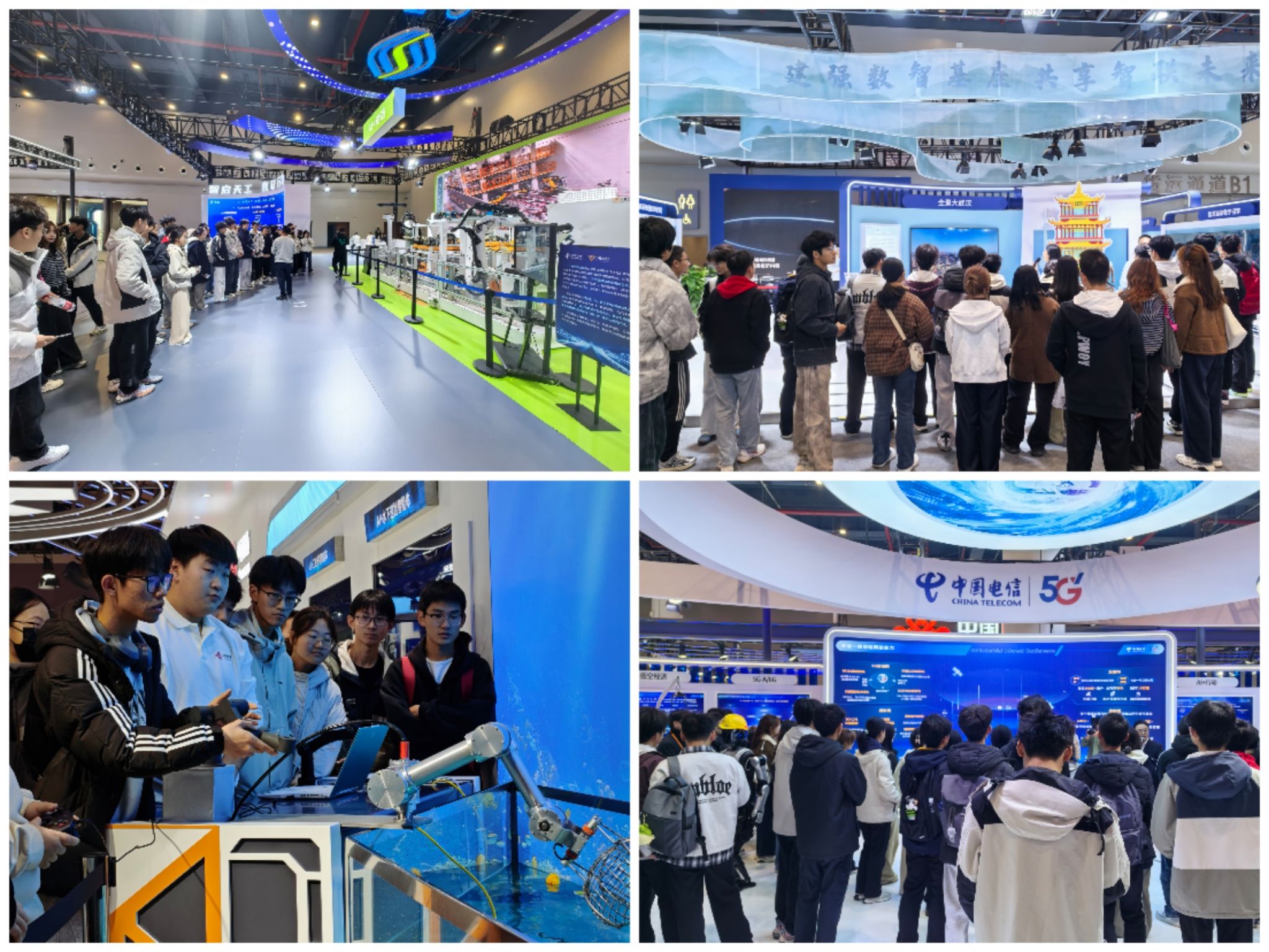 威廉希尔williamhill官网