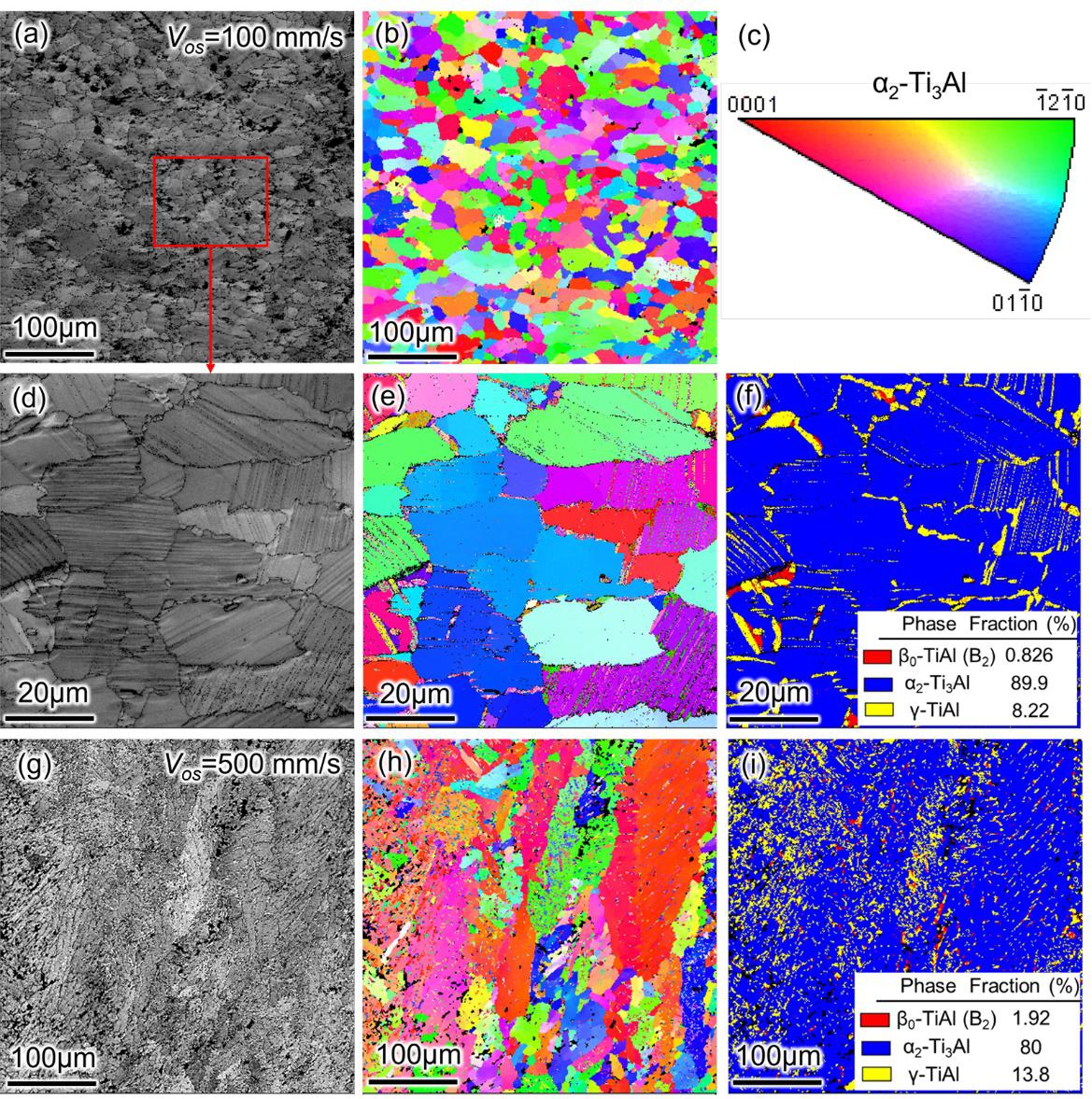 威廉希尔williamhill官网