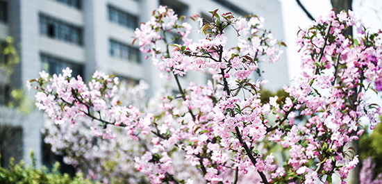 威廉希尔williamhill官网