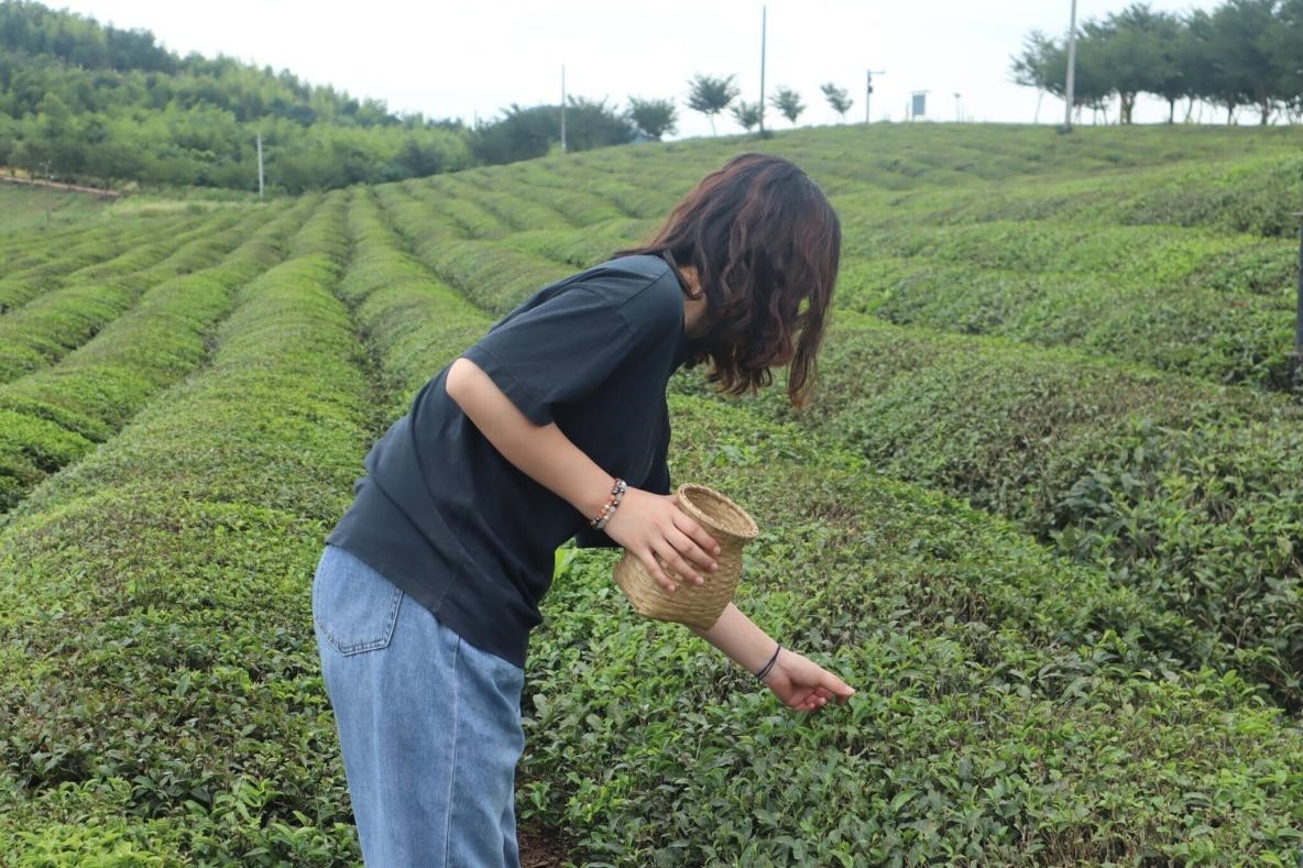 威廉希尔williamhill官网