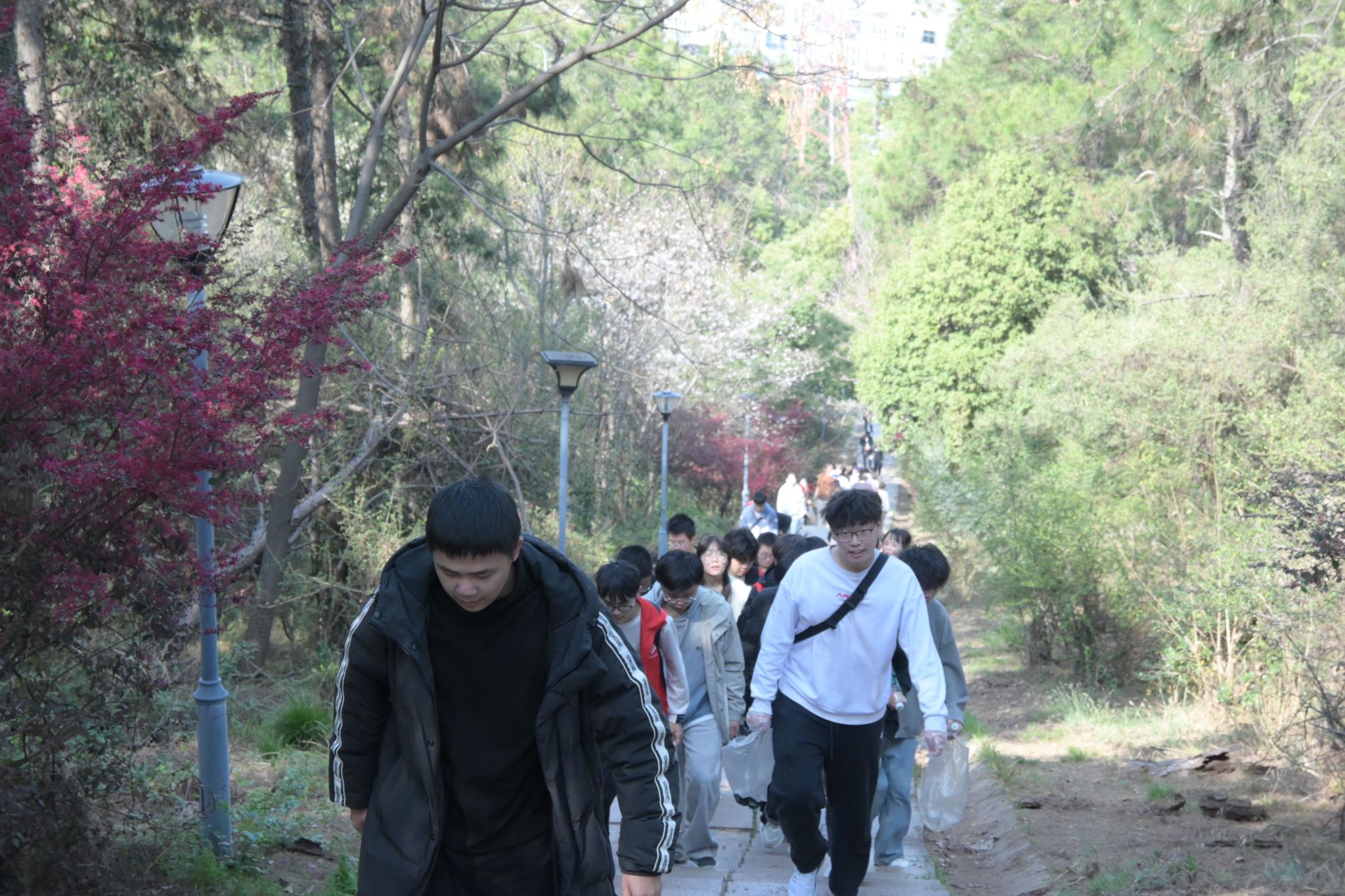 威廉希尔williamhill官网