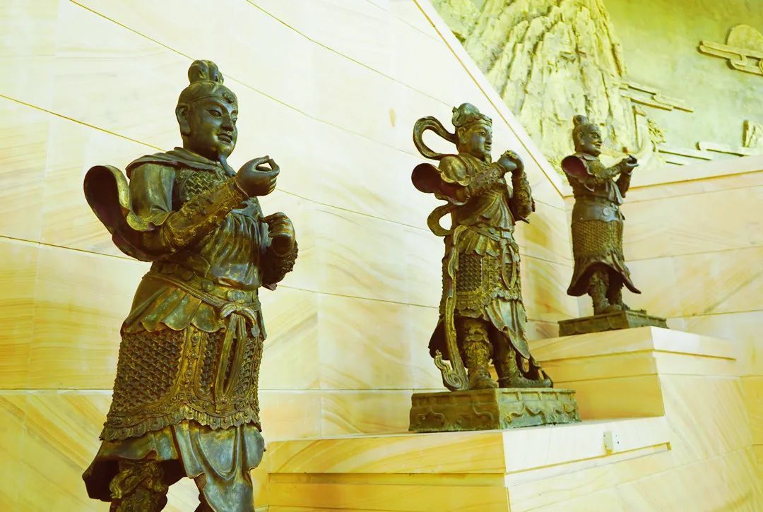 威廉希尔williamhill官网